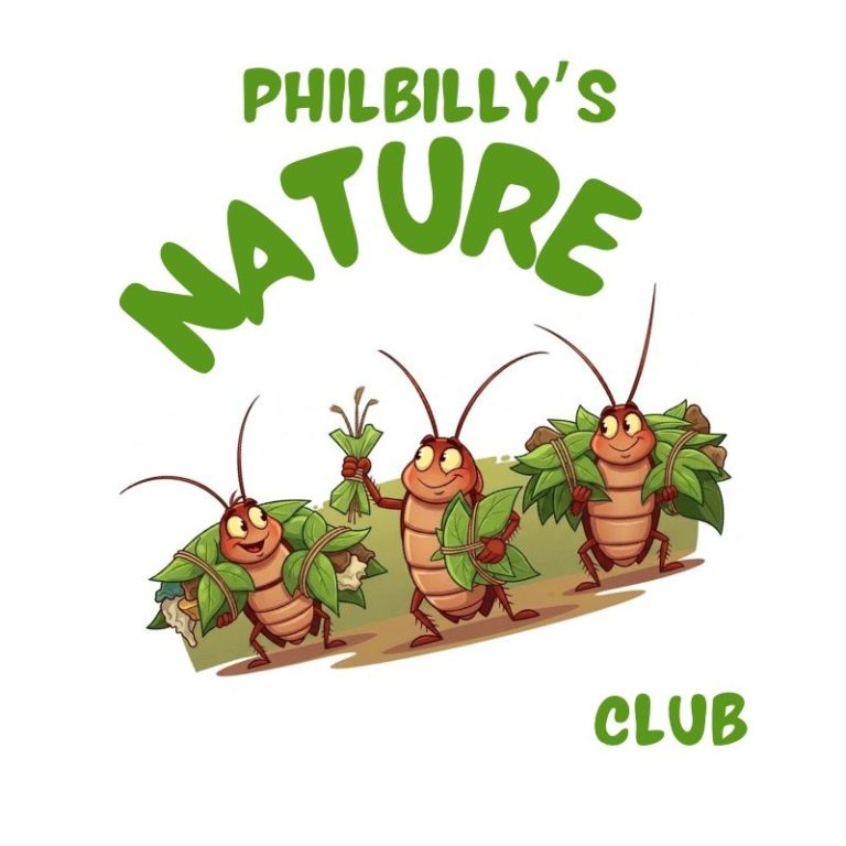 Philbillys nature club logo Logo featuring cartoon insects surrounded by leaves, promoting "Philbilly's Nature Club."